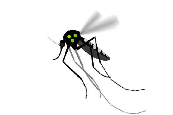 mosquito-service
